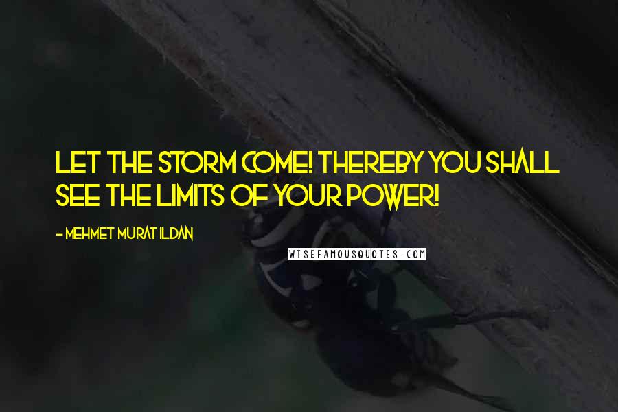 Mehmet Murat Ildan Quotes: Let the storm come! Thereby you shall see the limits of your power!