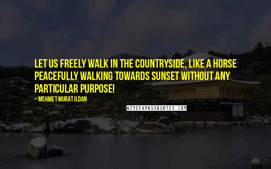 Mehmet Murat Ildan Quotes: Let us freely walk in the countryside, like a horse peacefully walking towards sunset without any particular purpose!