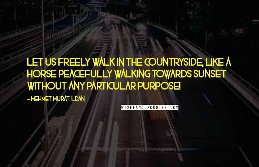 Mehmet Murat Ildan Quotes: Let us freely walk in the countryside, like a horse peacefully walking towards sunset without any particular purpose!