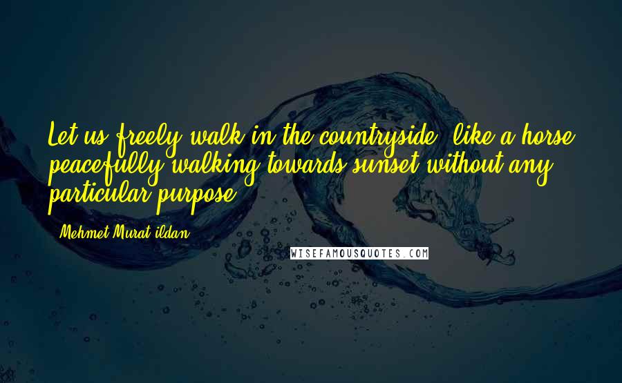 Mehmet Murat Ildan Quotes: Let us freely walk in the countryside, like a horse peacefully walking towards sunset without any particular purpose!