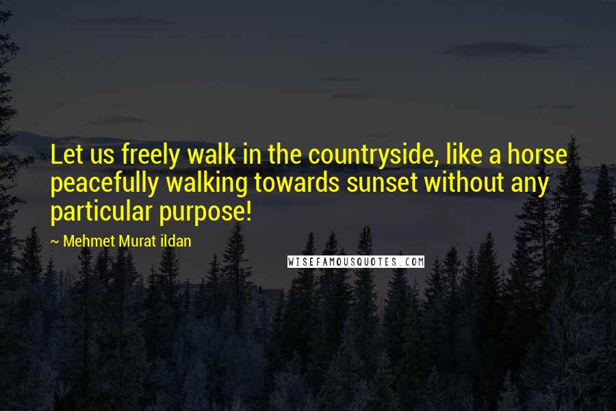 Mehmet Murat Ildan Quotes: Let us freely walk in the countryside, like a horse peacefully walking towards sunset without any particular purpose!