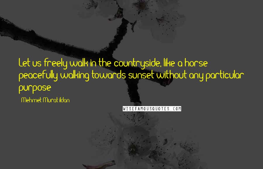 Mehmet Murat Ildan Quotes: Let us freely walk in the countryside, like a horse peacefully walking towards sunset without any particular purpose!