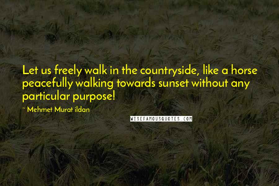 Mehmet Murat Ildan Quotes: Let us freely walk in the countryside, like a horse peacefully walking towards sunset without any particular purpose!