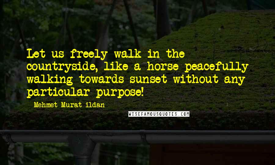 Mehmet Murat Ildan Quotes: Let us freely walk in the countryside, like a horse peacefully walking towards sunset without any particular purpose!