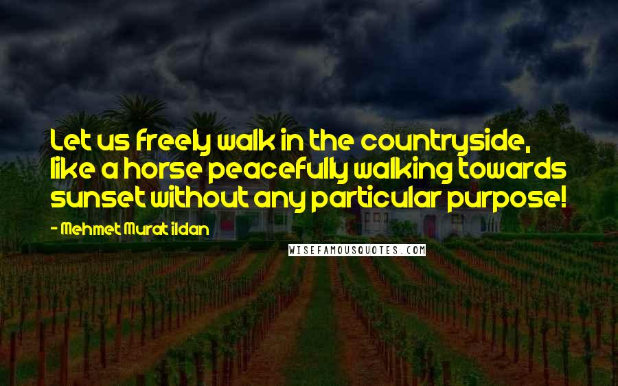 Mehmet Murat Ildan Quotes: Let us freely walk in the countryside, like a horse peacefully walking towards sunset without any particular purpose!