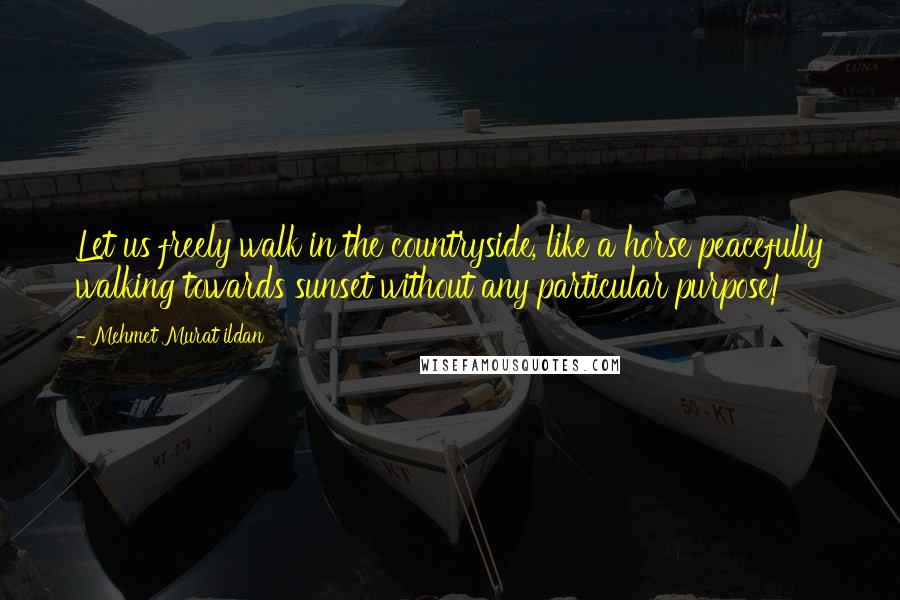 Mehmet Murat Ildan Quotes: Let us freely walk in the countryside, like a horse peacefully walking towards sunset without any particular purpose!
