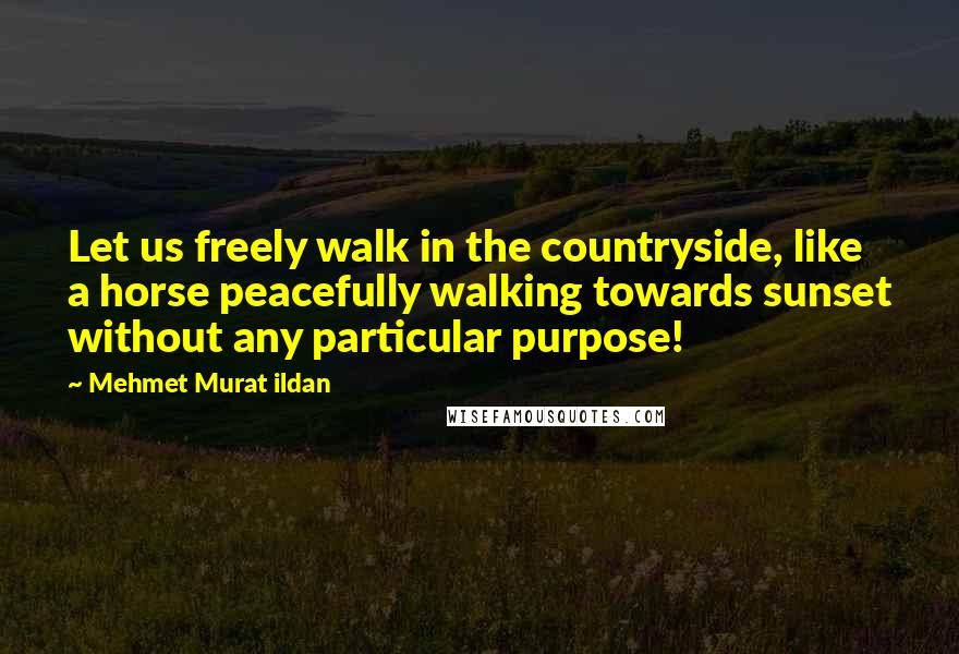 Mehmet Murat Ildan Quotes: Let us freely walk in the countryside, like a horse peacefully walking towards sunset without any particular purpose!