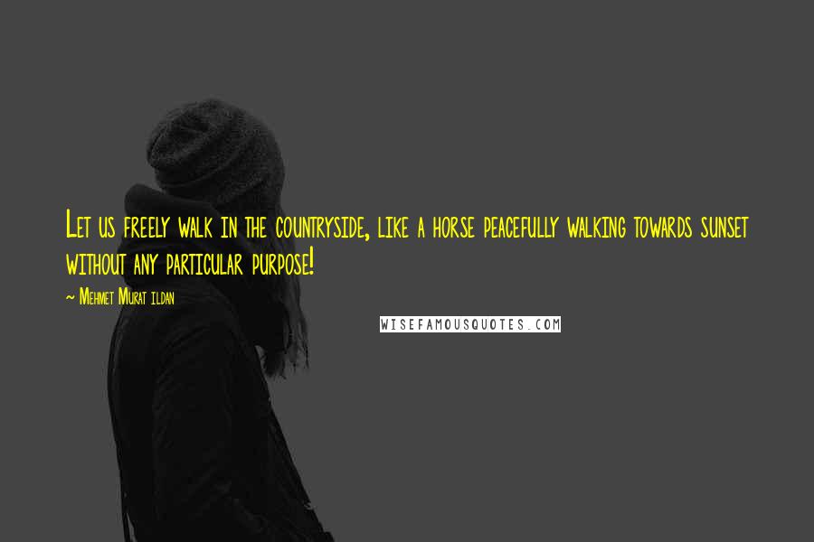 Mehmet Murat Ildan Quotes: Let us freely walk in the countryside, like a horse peacefully walking towards sunset without any particular purpose!