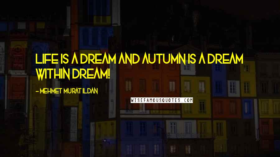 Mehmet Murat Ildan Quotes: Life is a dream and autumn is a dream within dream!