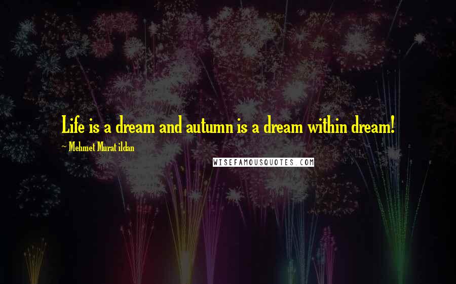 Mehmet Murat Ildan Quotes: Life is a dream and autumn is a dream within dream!