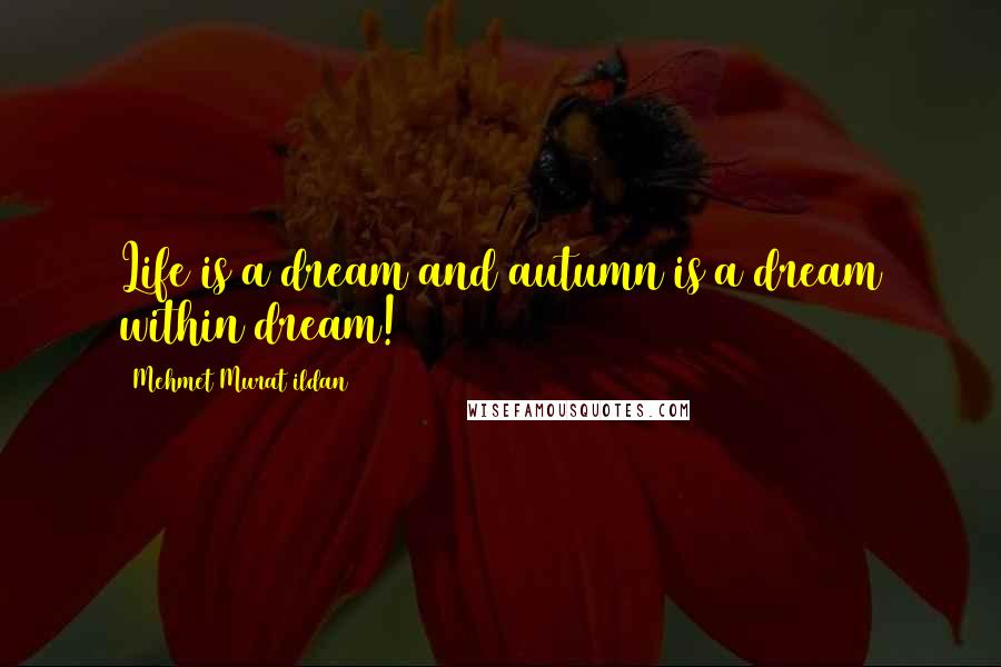 Mehmet Murat Ildan Quotes: Life is a dream and autumn is a dream within dream!