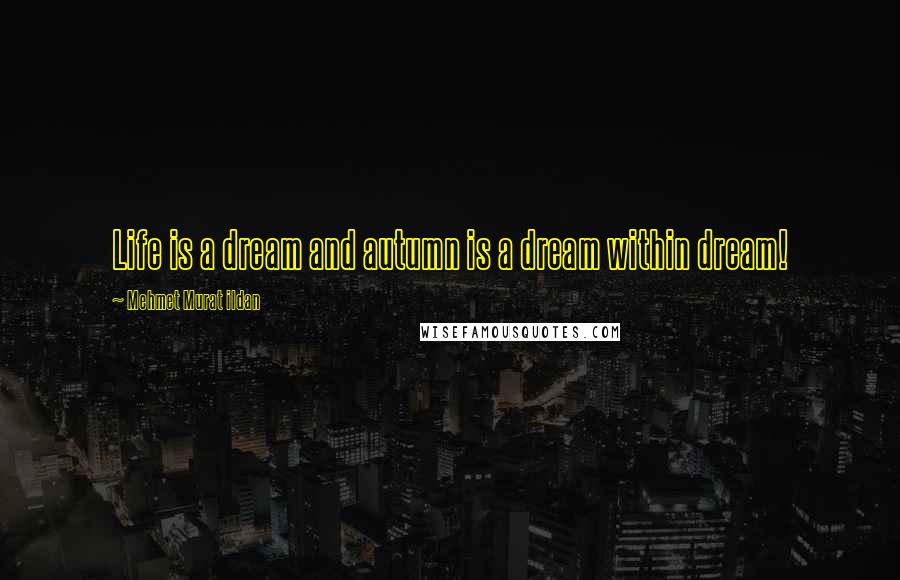 Mehmet Murat Ildan Quotes: Life is a dream and autumn is a dream within dream!