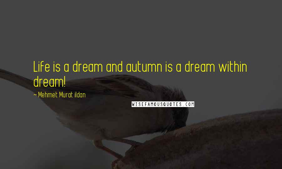 Mehmet Murat Ildan Quotes: Life is a dream and autumn is a dream within dream!