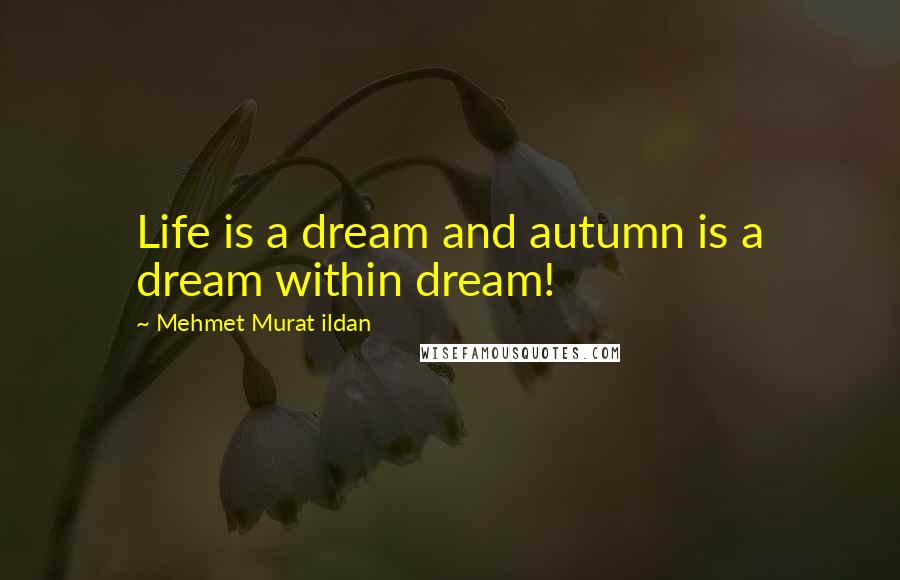 Mehmet Murat Ildan Quotes: Life is a dream and autumn is a dream within dream!