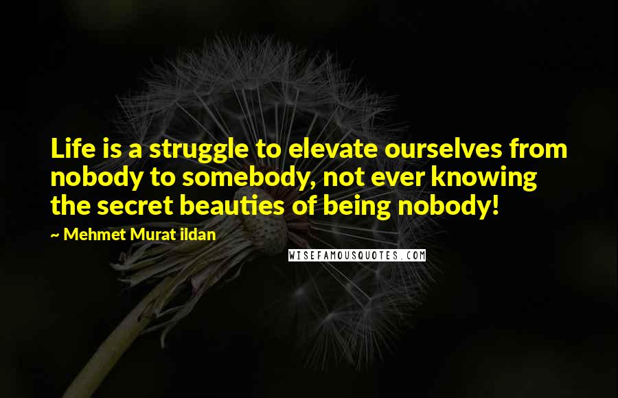 Mehmet Murat Ildan Quotes: Life is a struggle to elevate ourselves from nobody to somebody, not ever knowing the secret beauties of being nobody!