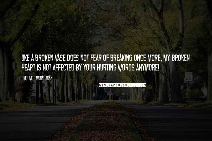 Mehmet Murat Ildan Quotes: Like a broken vase does not fear of breaking once more, my broken heart is not affected by your hurting words anymore!