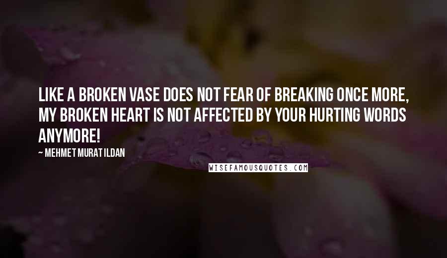 Mehmet Murat Ildan Quotes: Like a broken vase does not fear of breaking once more, my broken heart is not affected by your hurting words anymore!