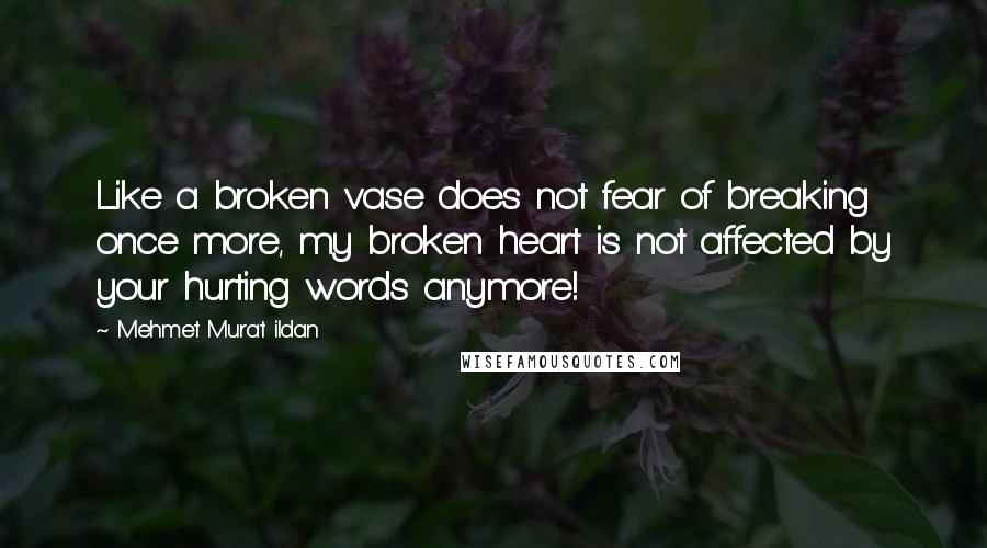 Mehmet Murat Ildan Quotes: Like a broken vase does not fear of breaking once more, my broken heart is not affected by your hurting words anymore!