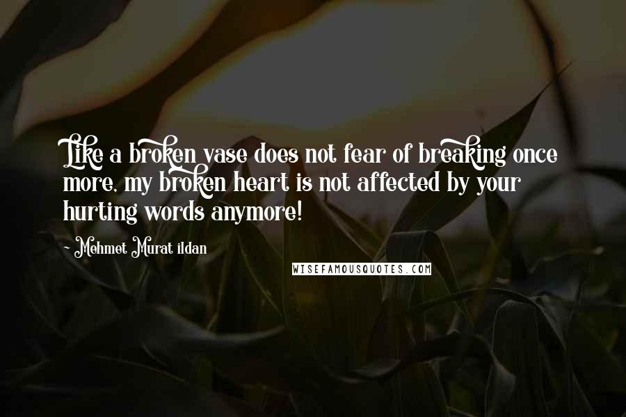 Mehmet Murat Ildan Quotes: Like a broken vase does not fear of breaking once more, my broken heart is not affected by your hurting words anymore!