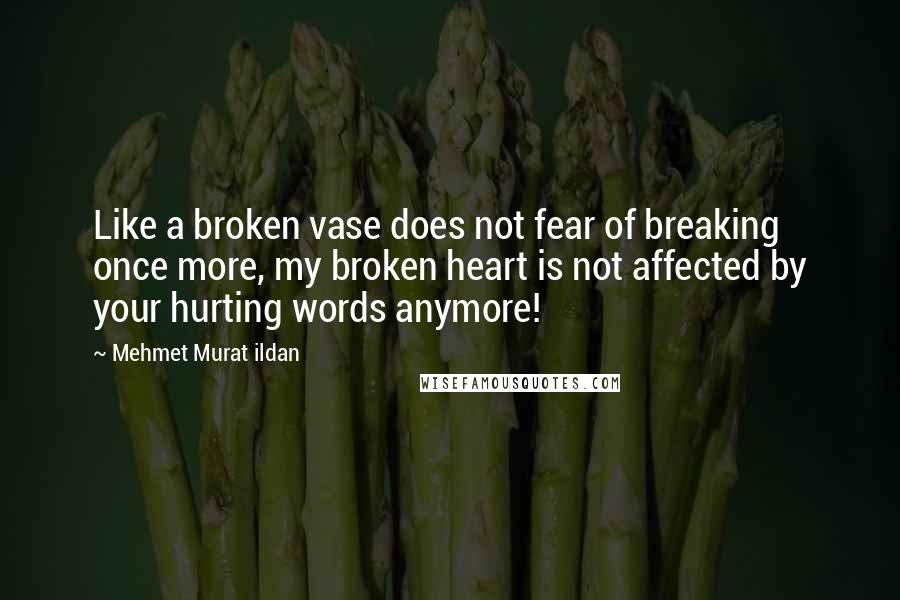 Mehmet Murat Ildan Quotes: Like a broken vase does not fear of breaking once more, my broken heart is not affected by your hurting words anymore!