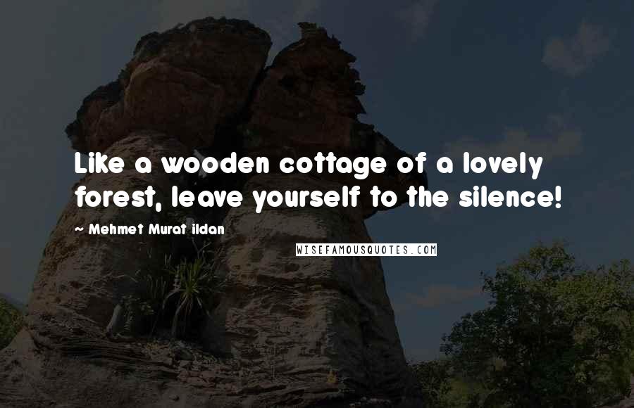 Mehmet Murat Ildan Quotes: Like a wooden cottage of a lovely forest, leave yourself to the silence!