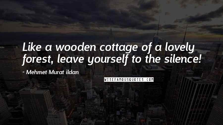 Mehmet Murat Ildan Quotes: Like a wooden cottage of a lovely forest, leave yourself to the silence!