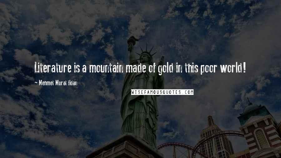 Mehmet Murat Ildan Quotes: Literature is a mountain made of gold in this poor world!
