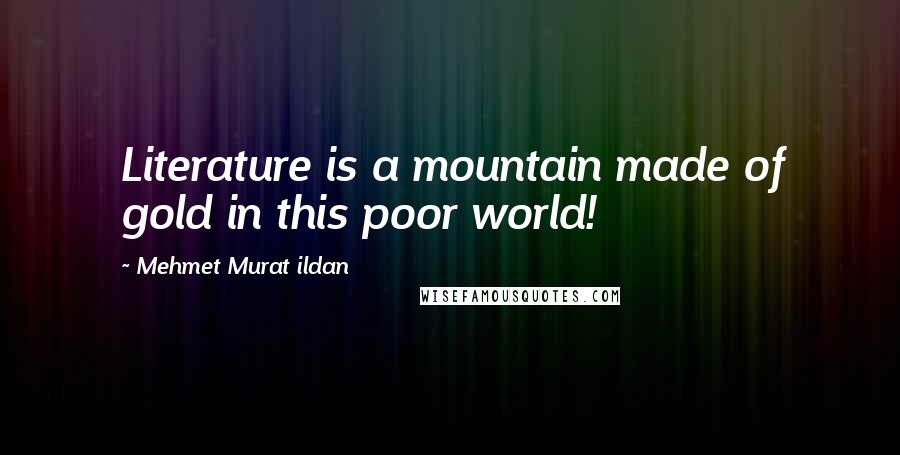 Mehmet Murat Ildan Quotes: Literature is a mountain made of gold in this poor world!