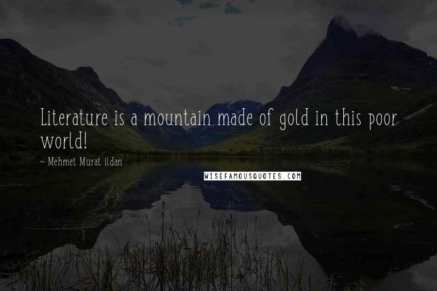 Mehmet Murat Ildan Quotes: Literature is a mountain made of gold in this poor world!