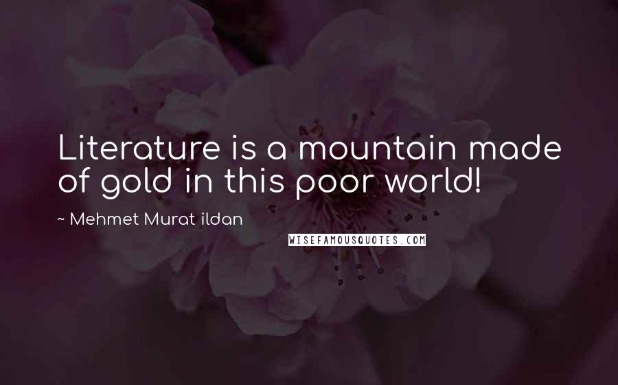 Mehmet Murat Ildan Quotes: Literature is a mountain made of gold in this poor world!