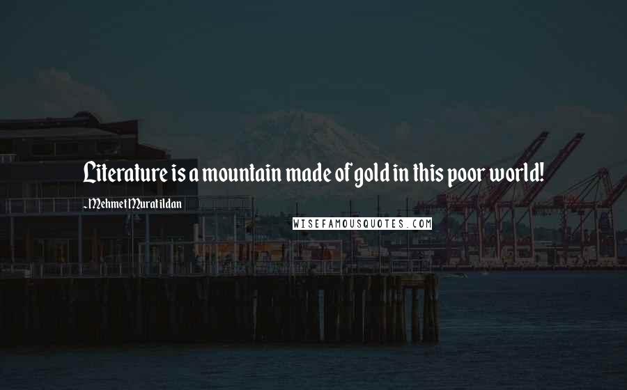Mehmet Murat Ildan Quotes: Literature is a mountain made of gold in this poor world!