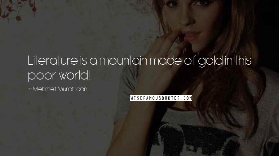 Mehmet Murat Ildan Quotes: Literature is a mountain made of gold in this poor world!