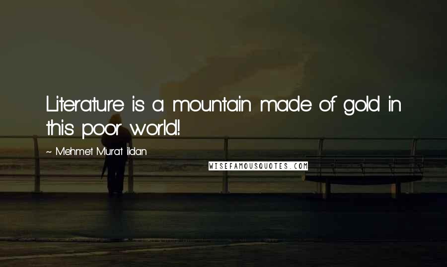 Mehmet Murat Ildan Quotes: Literature is a mountain made of gold in this poor world!