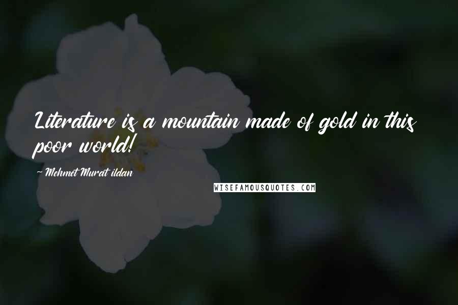 Mehmet Murat Ildan Quotes: Literature is a mountain made of gold in this poor world!