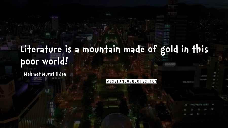 Mehmet Murat Ildan Quotes: Literature is a mountain made of gold in this poor world!