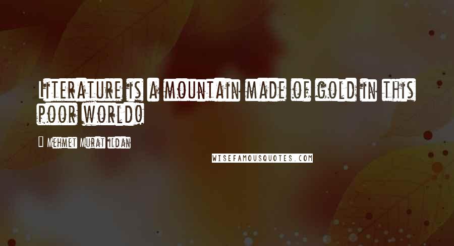 Mehmet Murat Ildan Quotes: Literature is a mountain made of gold in this poor world!