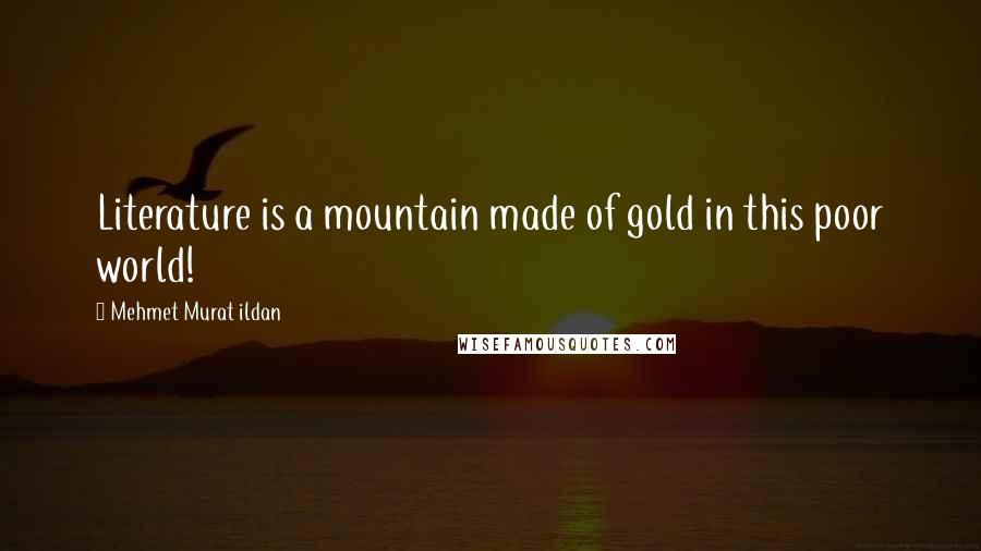 Mehmet Murat Ildan Quotes: Literature is a mountain made of gold in this poor world!