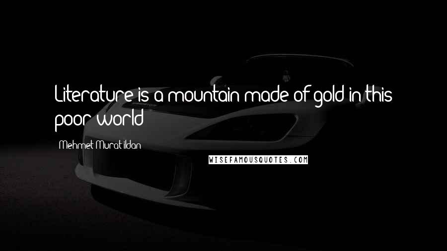 Mehmet Murat Ildan Quotes: Literature is a mountain made of gold in this poor world!