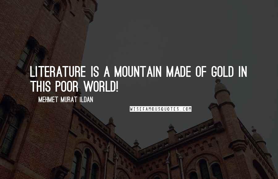 Mehmet Murat Ildan Quotes: Literature is a mountain made of gold in this poor world!