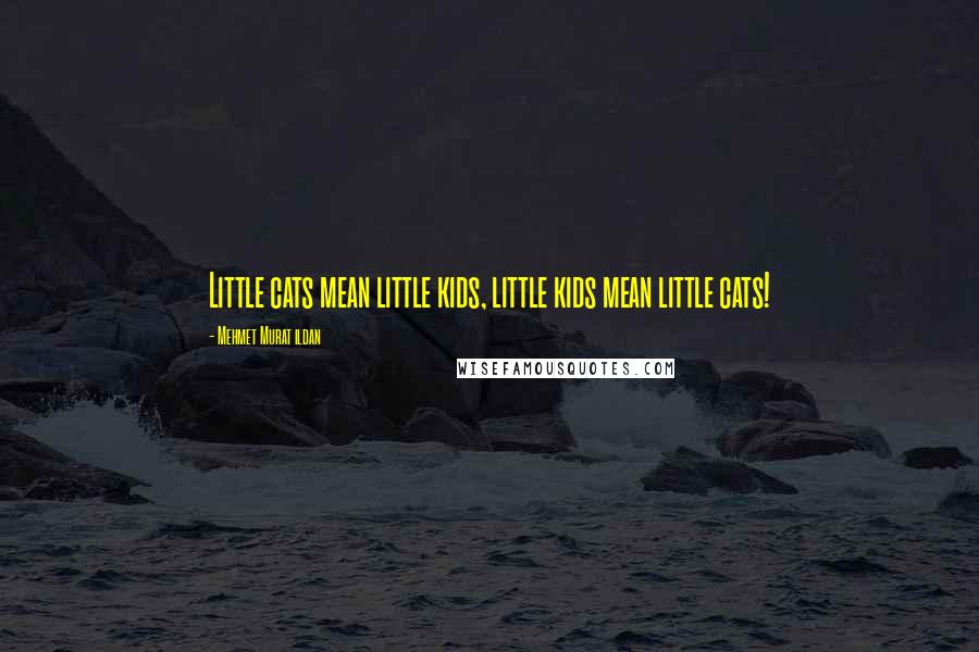 Mehmet Murat Ildan Quotes: Little cats mean little kids, little kids mean little cats!