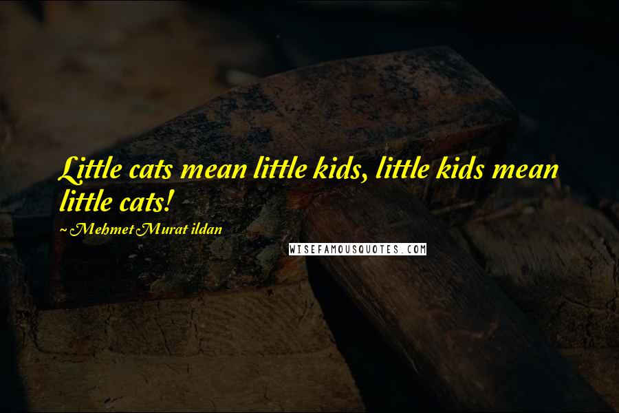 Mehmet Murat Ildan Quotes: Little cats mean little kids, little kids mean little cats!