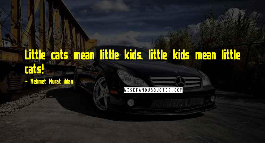 Mehmet Murat Ildan Quotes: Little cats mean little kids, little kids mean little cats!