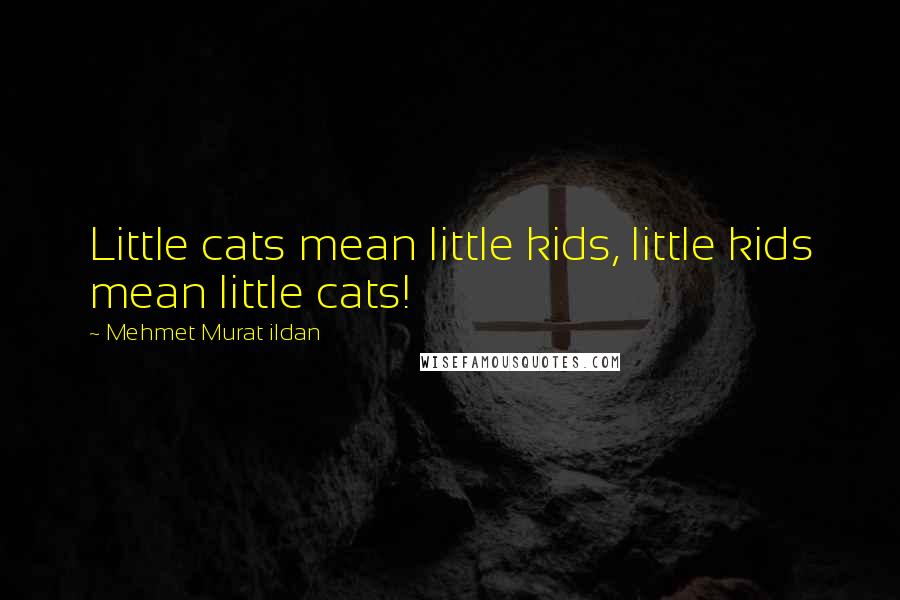 Mehmet Murat Ildan Quotes: Little cats mean little kids, little kids mean little cats!