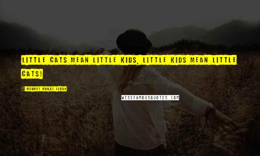 Mehmet Murat Ildan Quotes: Little cats mean little kids, little kids mean little cats!