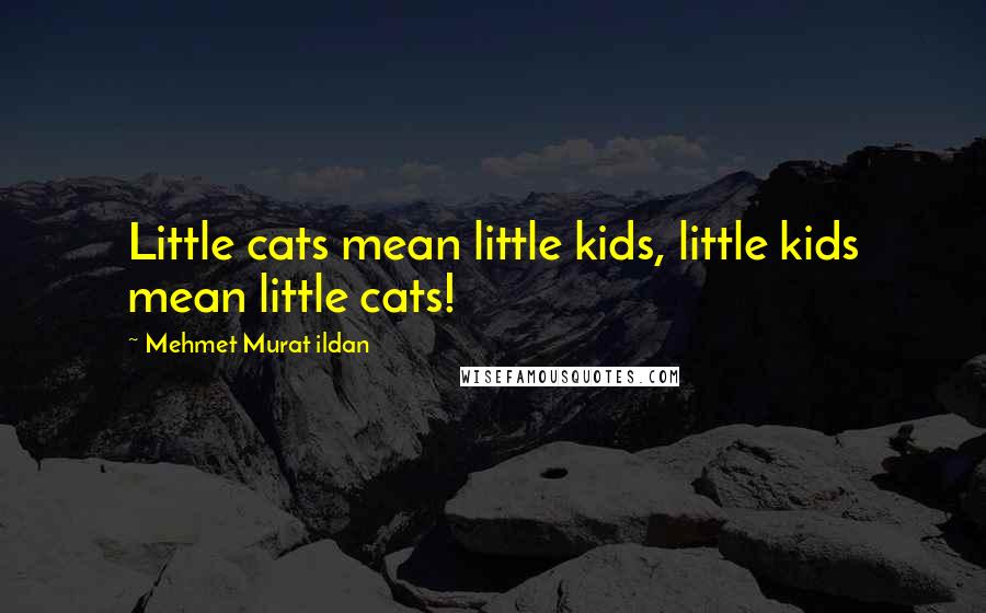 Mehmet Murat Ildan Quotes: Little cats mean little kids, little kids mean little cats!