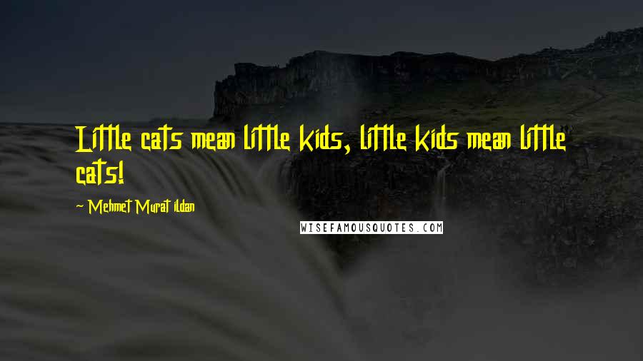 Mehmet Murat Ildan Quotes: Little cats mean little kids, little kids mean little cats!