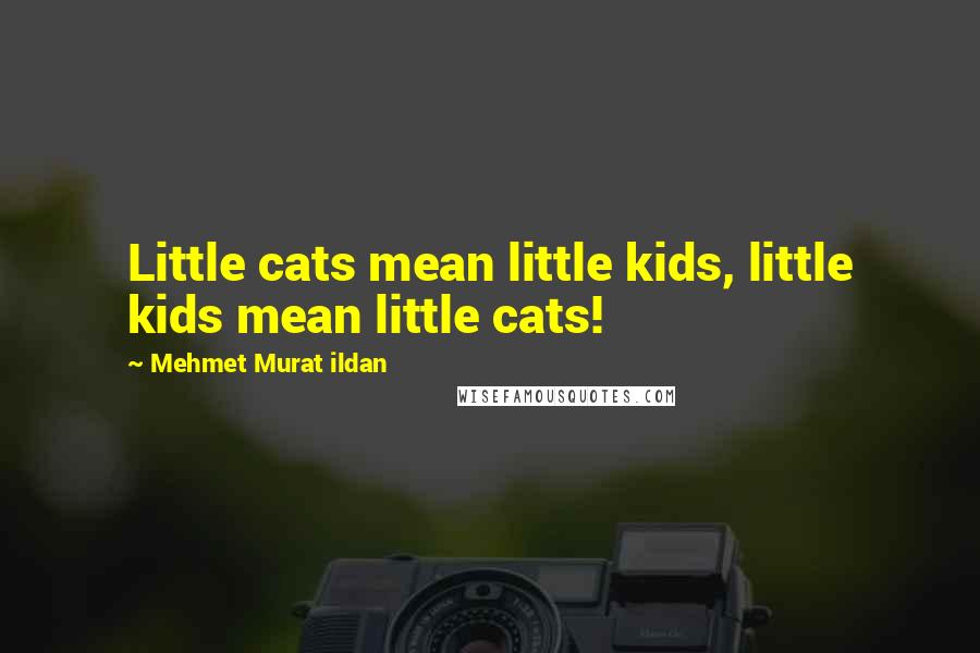 Mehmet Murat Ildan Quotes: Little cats mean little kids, little kids mean little cats!