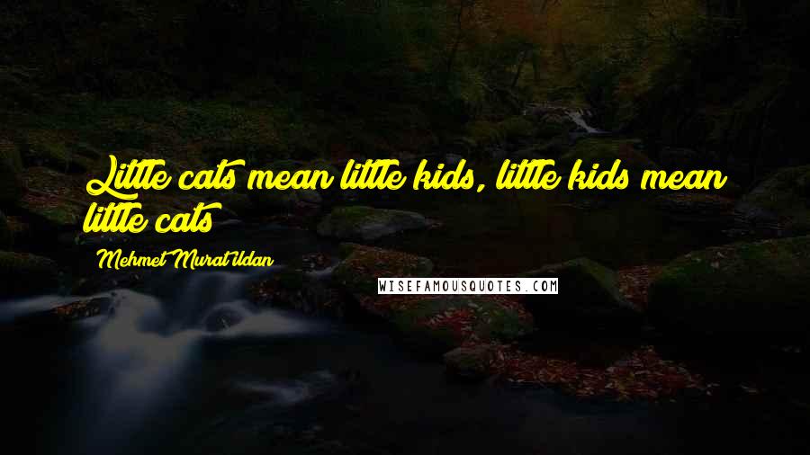 Mehmet Murat Ildan Quotes: Little cats mean little kids, little kids mean little cats!