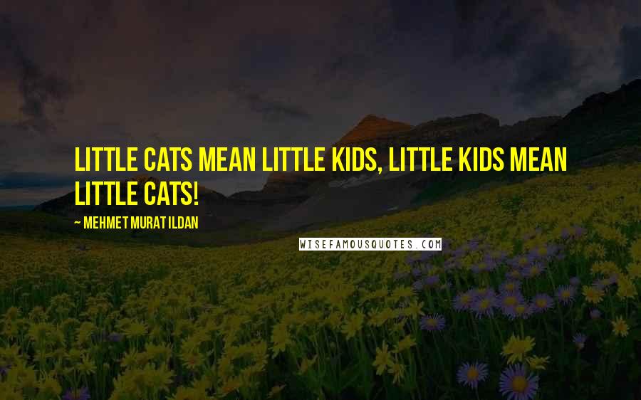 Mehmet Murat Ildan Quotes: Little cats mean little kids, little kids mean little cats!