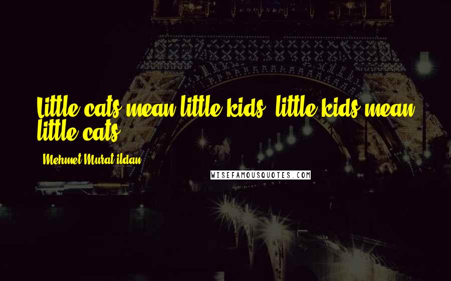 Mehmet Murat Ildan Quotes: Little cats mean little kids, little kids mean little cats!